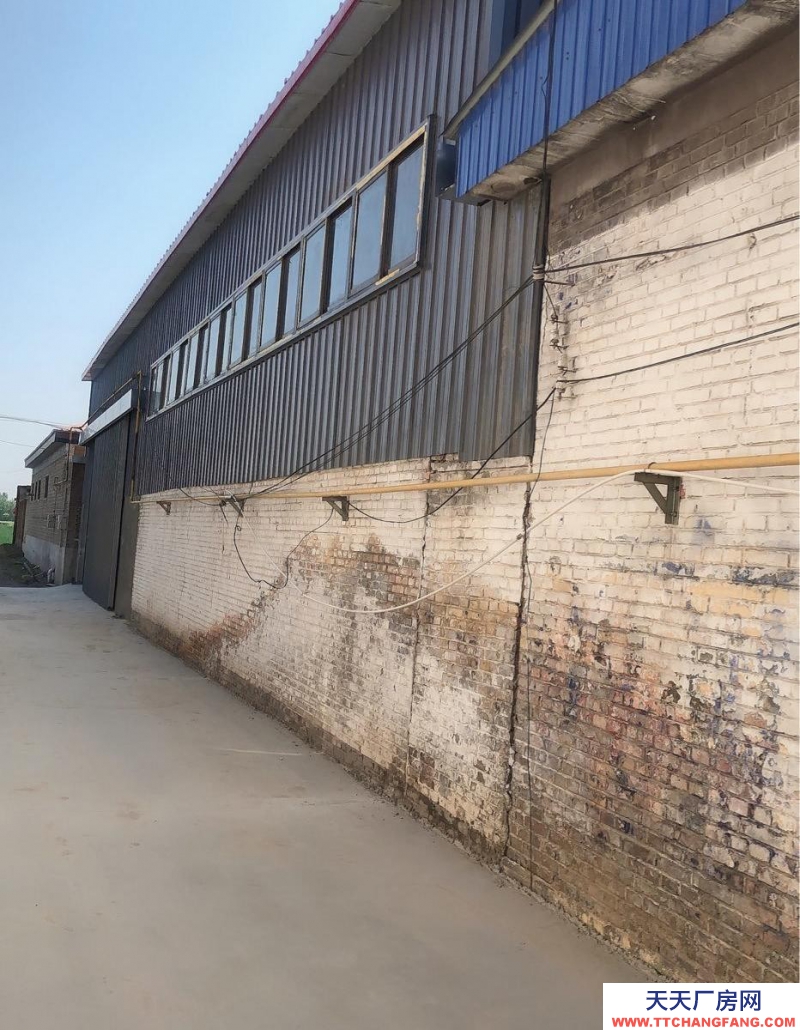 保定 望都  鋼構全新庫房550平，200平辦公室