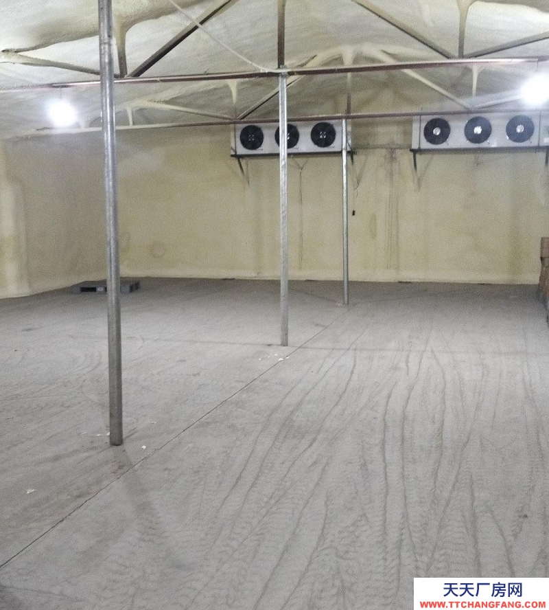 保定 望都 自己冷庫，剩余200平，對外出租