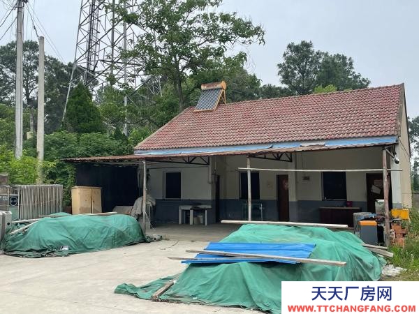 南京市高淳區林場倉庫，租金實惠