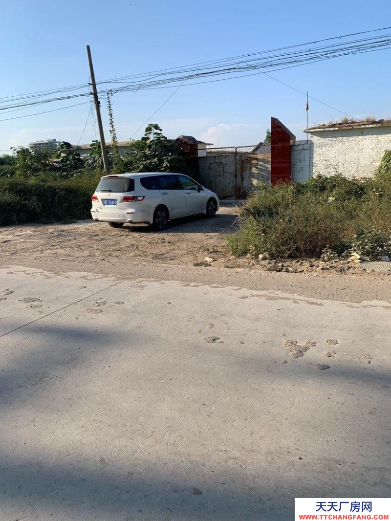 保定 望都  107國道東側(cè)500米 倉庫 2400平米