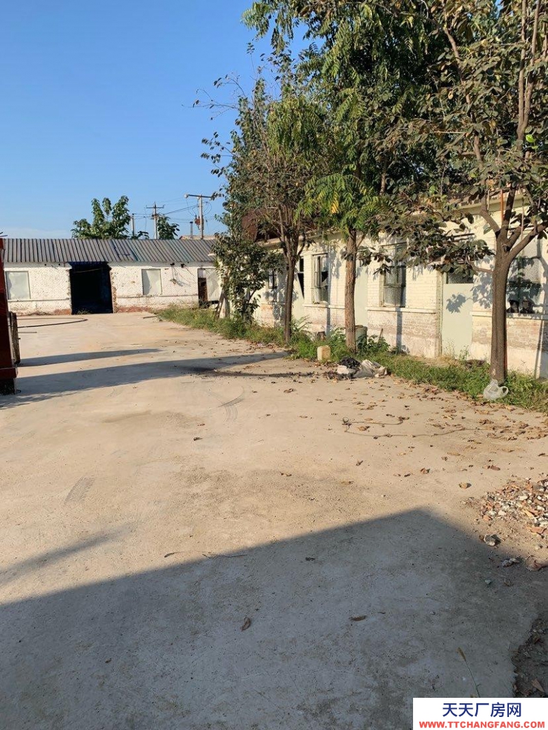 保定 望都 107國(guó)道東側(cè)500米 倉(cāng)庫(kù) 2400平米