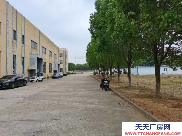 南京市高淳經濟開發區雙高路廠房11000平土地32畝售2800萬