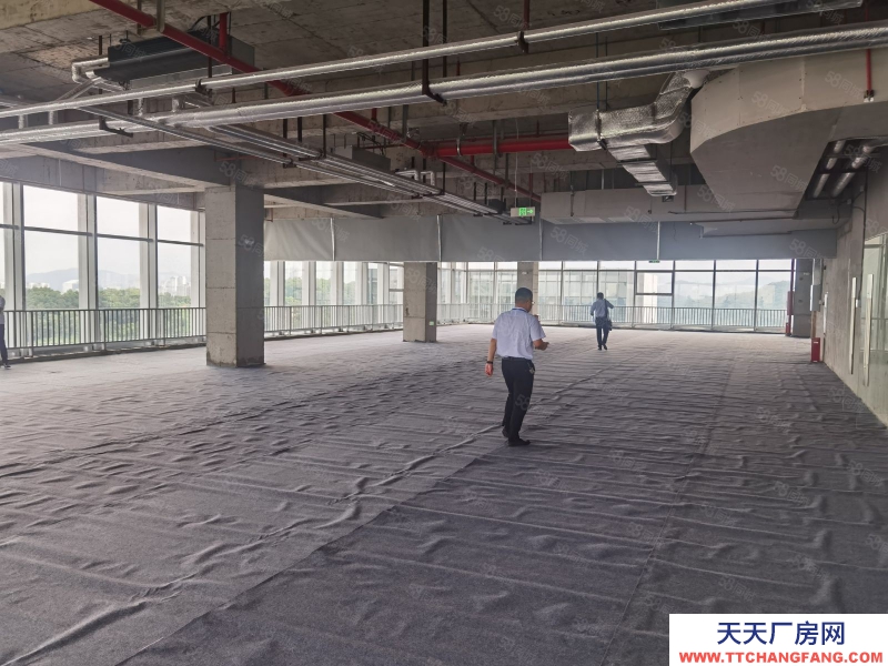 (出租) 廣州政府項目黃埔區可租可售!新型專精區1000平起租租金補貼50