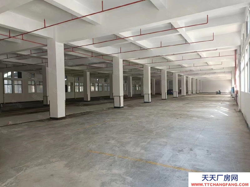 (出租) 東莞國有紅本4萬平廠房,工業(yè)用地,易招工,位置超好