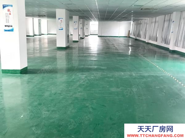 蘇州市吳中區 浦莊二樓100,200,300,500平米精裝修廠房,可注冊