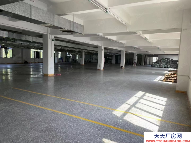 (出租) 常平新出帶牛角標準一樓2000平方，配帶消防噴淋，工業用地