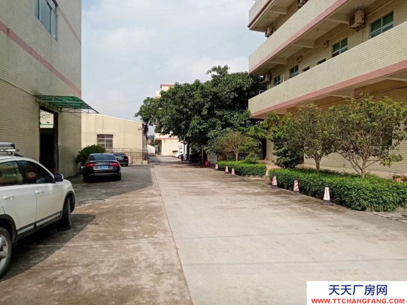 (出租) 常平新出帶牛角標準一樓2000平方,配帶消防噴淋,工業用地