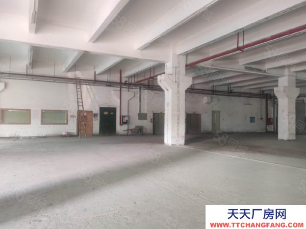 蘇州市吳中區(qū)可分租越溪1500平單層廠房出租 大車好進(jìn) 獨門獨院 原房東