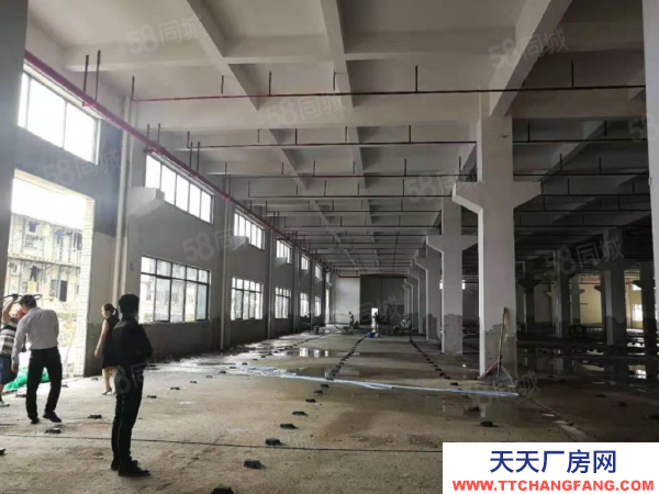 蘇州市吳中區(qū)可分租越溪1500平單層廠房出租 大車好進(jìn) 獨門獨院 原房東