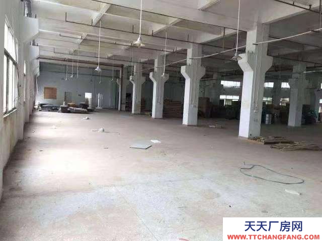 (出租) 蕪湖鏡湖區周邊標準廠房