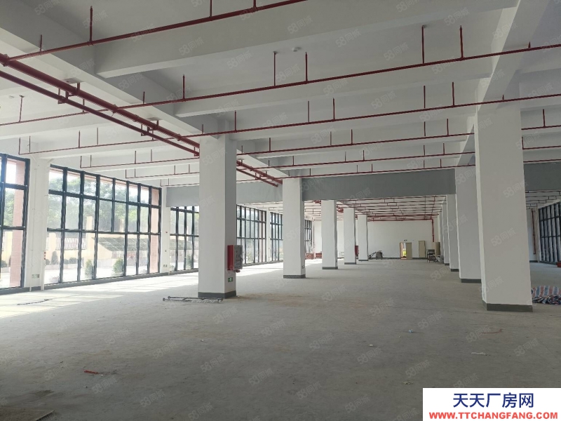 (出租) 東莞黃江新建標準廠房30000平，園區空地大形象好，好招工高速近