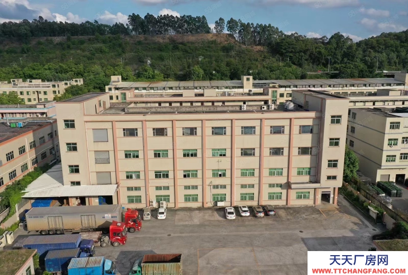 (出租) （新出）東莞常平橋瀝獨院三層7500平方，可分租