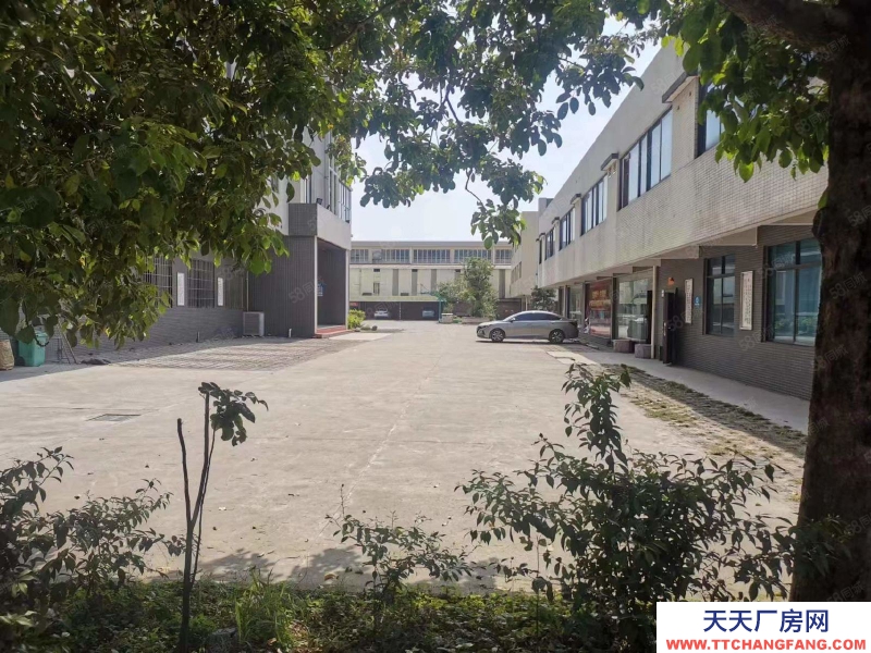 (出租) 東莞大嶺山茶園路2000平方精裝修廠房低價出租