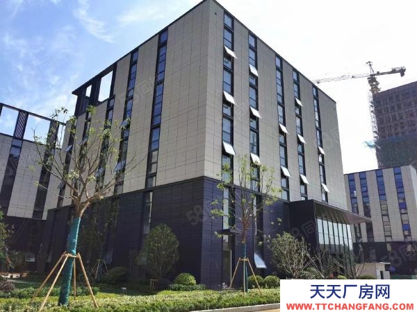 蘇州市吳中區廠房 開發商出售 首付低 入園有門檻 配套齊全
