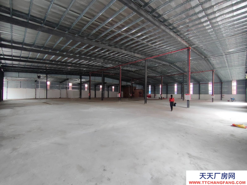 (出租) 東莞寮步全新3000平米單一層鋼構廠房出租,高7米,工業用地可辦環評