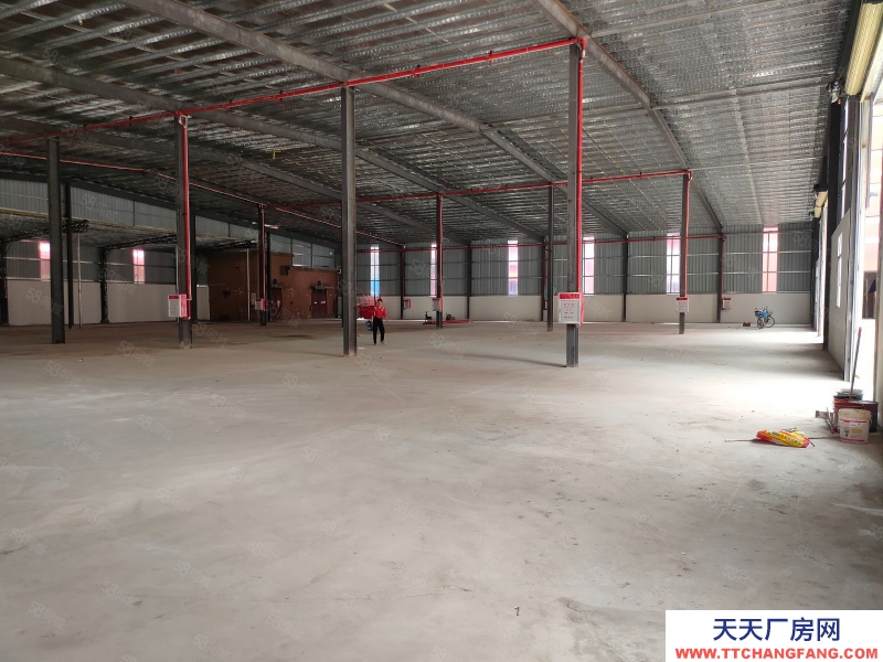 (出租) 東莞寮步全新3000平米單一層鋼構廠房出租,高7米,工業用地可辦環評