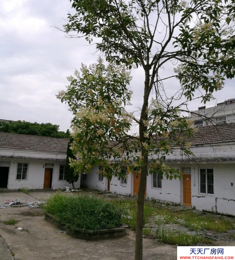 (出租)蕪湖鏡湖 水電齊全，交通方便，價格便宜，非誠勿擾。