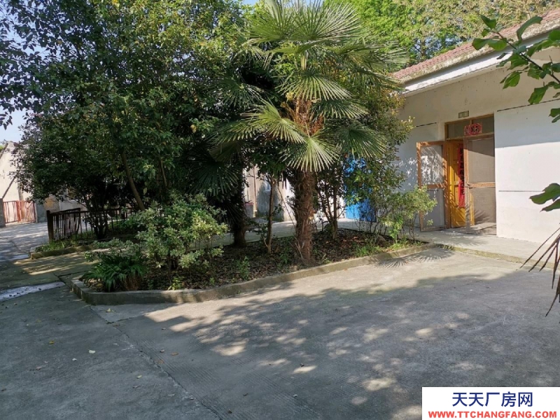 (出租) 蕪湖鏡湖馬廠村 廠房/倉庫/宿舍/辦公 可分租