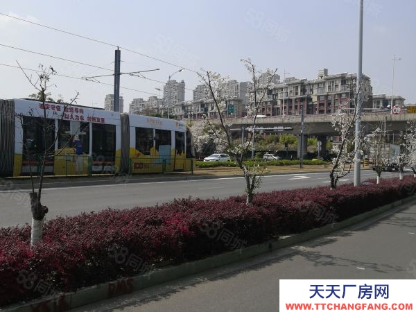 蘇州市吳中區國土雙證!1000~6000平米!花園式廠房!