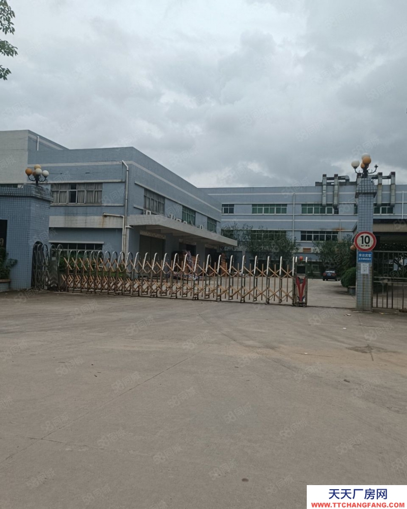 (出租) 東莞寮步新出標(biāo)準(zhǔn)獨門獨院，廠房三棟，一棟兩層，兩棟三層