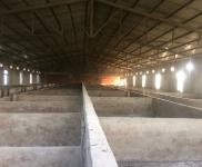 (出租) 襄陽襄城鋼構廠房出租，也可當倉庫，加工廠