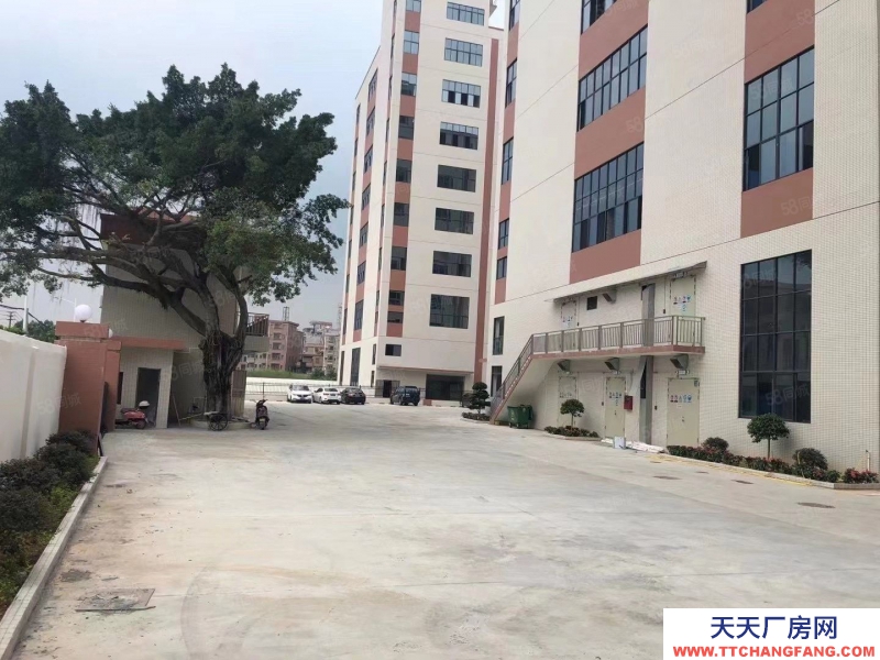 (出租) 東莞全新廠房出獨(dú)院廠房上市公司形象，實(shí)際面積出租，帶有紅本無公攤