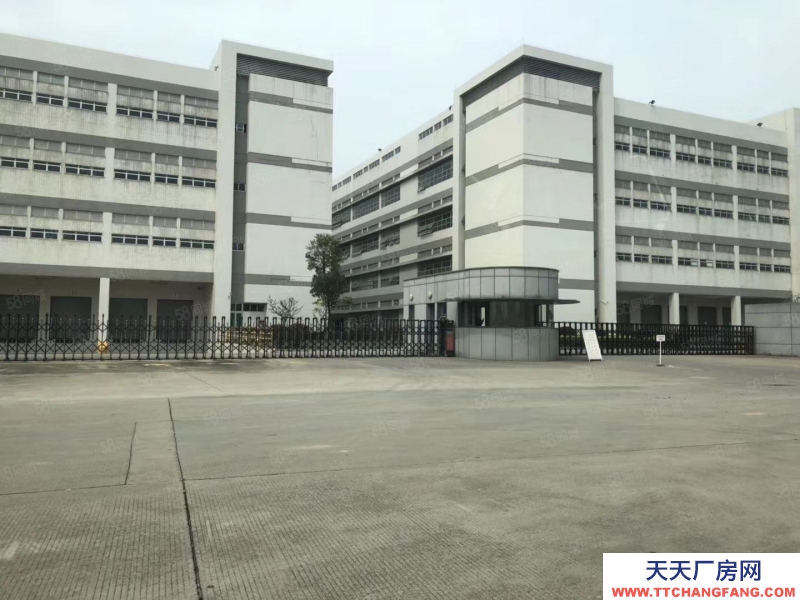 (出租) 東莞市萬江道滘及周邊鎮區標準廠房出租,獨院單一層廠房出租