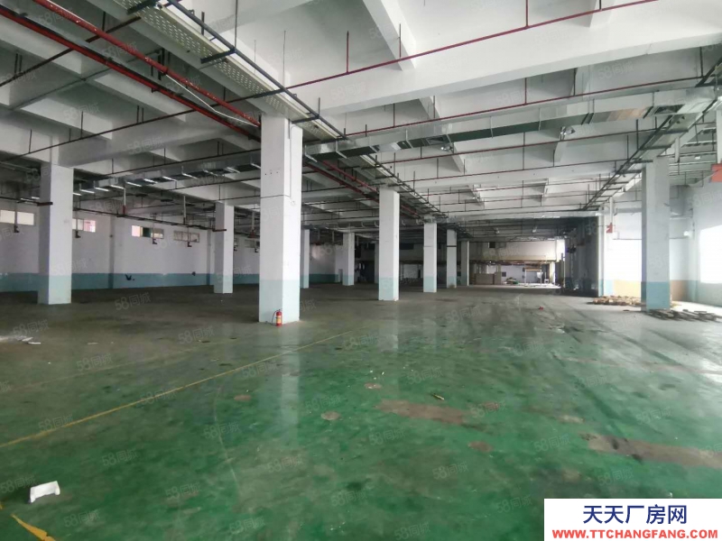 (出租) 東莞市萬江道滘及周邊鎮區標準廠房出租,獨院單一層廠房出租