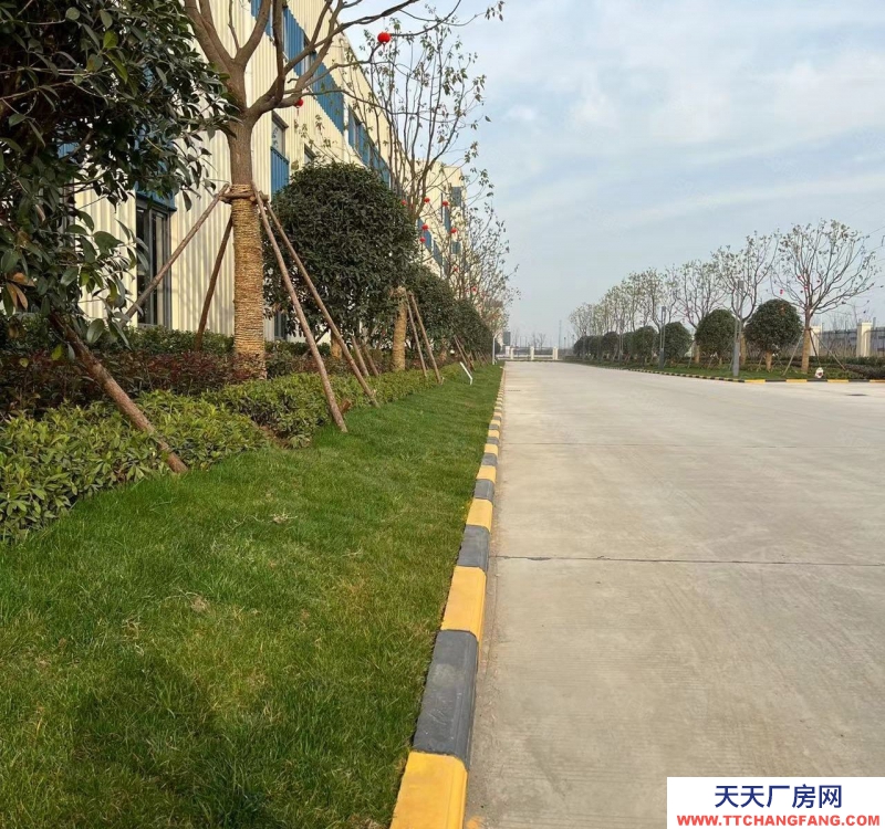 (出售)蕪湖鏡湖 獨門獨院式標準廠房，10米層高，50年獨立產權，贈送院子