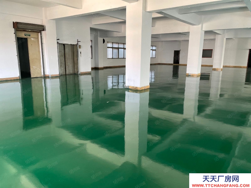 (出租) 東莞廠房出租!東城溫塘一手房東直招獨(dú)棟獨(dú)院1500平,空地大