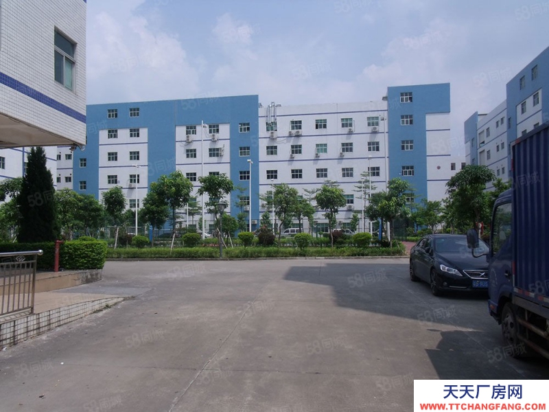 (出租)東莞 鳳崗金鳳凰新出5米高一樓1200平方出租