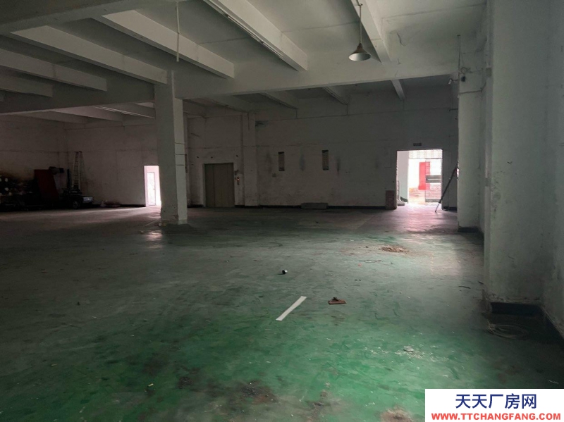 (出租)東莞 首層廠房倉庫招租經濟實惠，使用性強