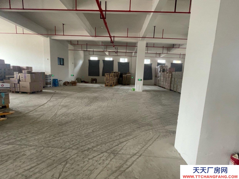 (出租) 蕪湖繁昌倉儲庫房 存放貨物 隨時看庫房