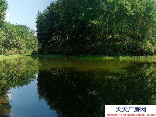 (出租) 養殖場，魚塘，倉庫，住房，面積約20畝