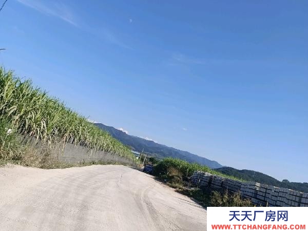 (出租) 廠房車間倉庫辦公樓宿舍出租