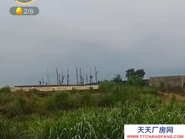 (出租) 茶葉初制加工所和養(yǎng)雞場(chǎng)