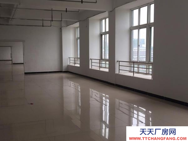 (出租) 蚌埠蚌山電商直播 辦公+倉庫一體