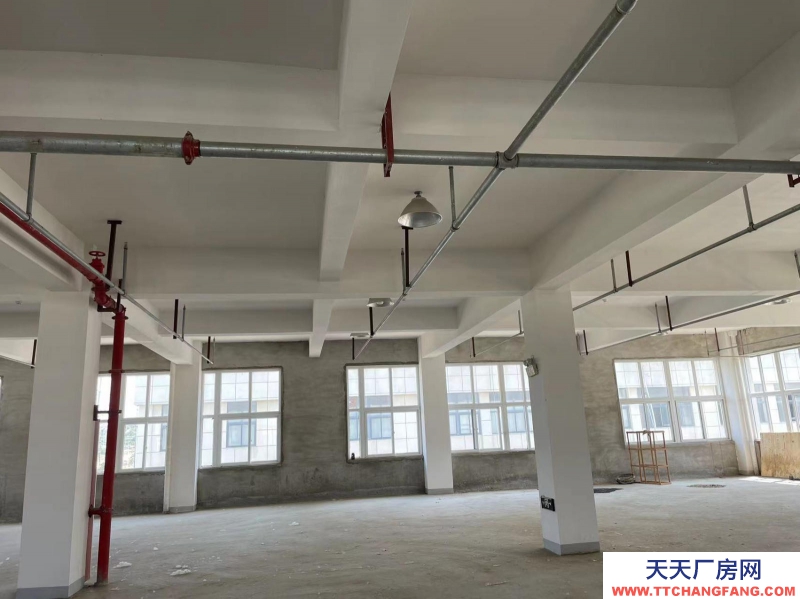 (出租) 蚌埠龍子湖中小企業產業園廠房