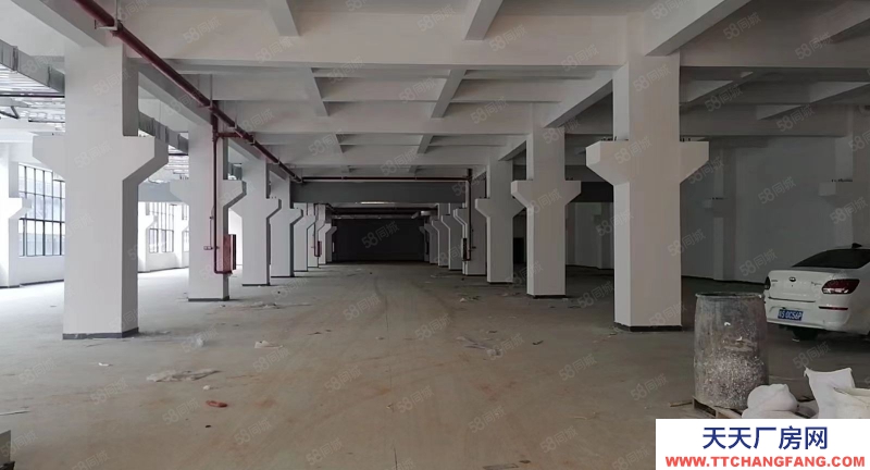 (出租) 東莞清溪客運站周邊全新標準廠房大小可分租