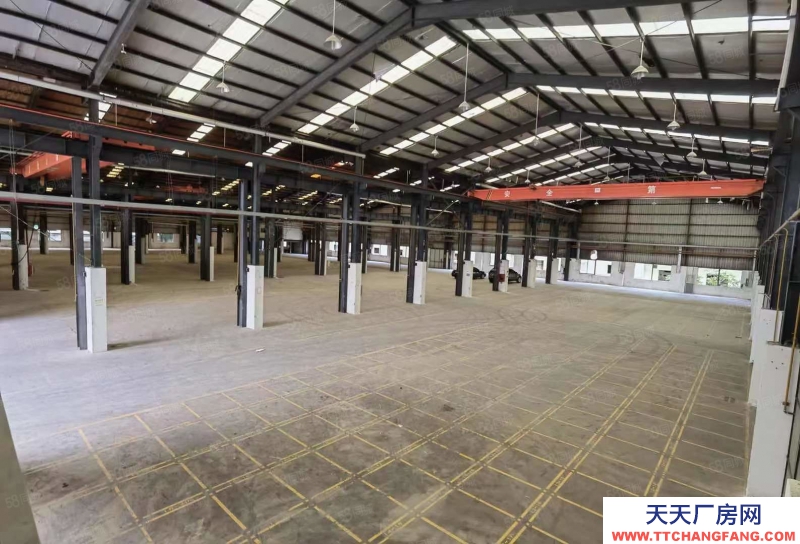 (出租) 東莞清溪汽車站附近鋼構廠房1000平方出租 精裝修 價格低