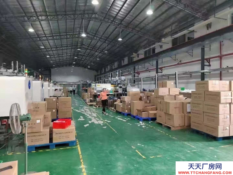 (出租) 東莞清溪汽車站附近鋼構廠房1000平方出租 精裝修 價格低