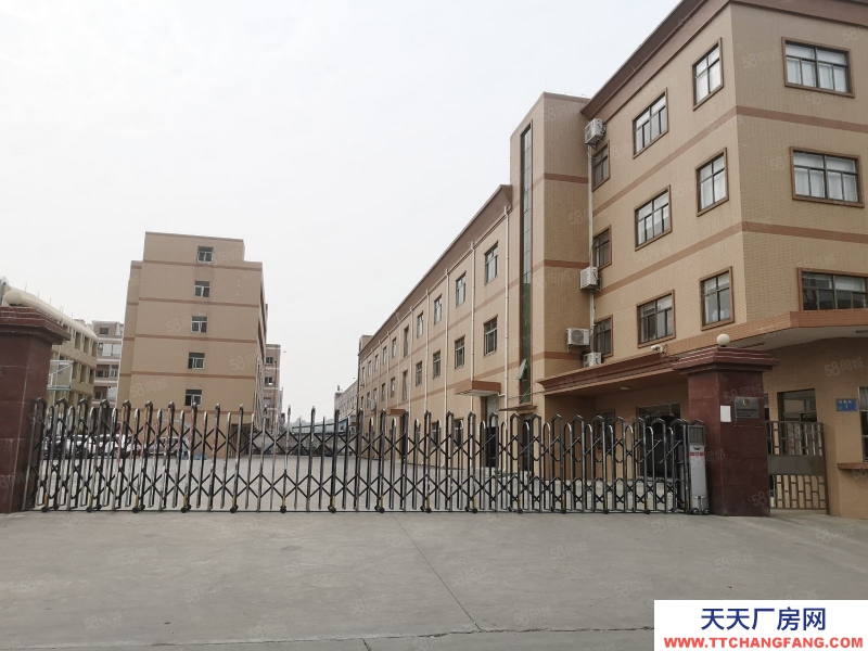 (出租) 東莞石排鎮向西村原房東二樓1000平廠房出租 帶現成豪華裝修