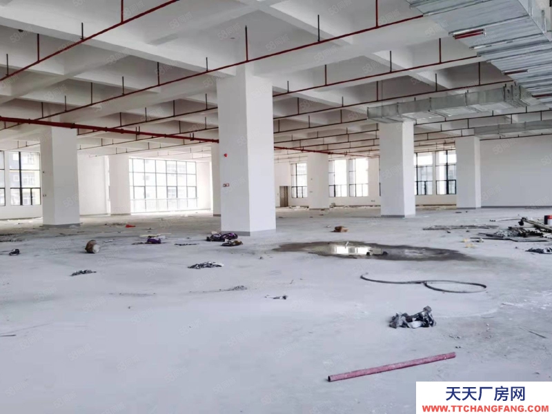 (出租) 東莞鳳崗1500平米全新廠房出租)一樓高度7米樓上高度5.3米