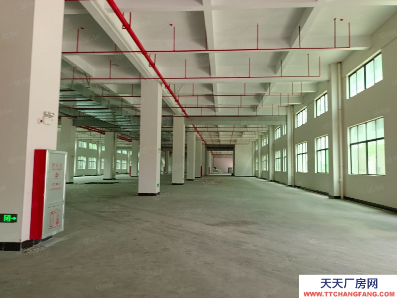 (出租) 東莞鳳崗天堂圍驚現標準一樓2000平帶消防噴淋，原房東直租可分租