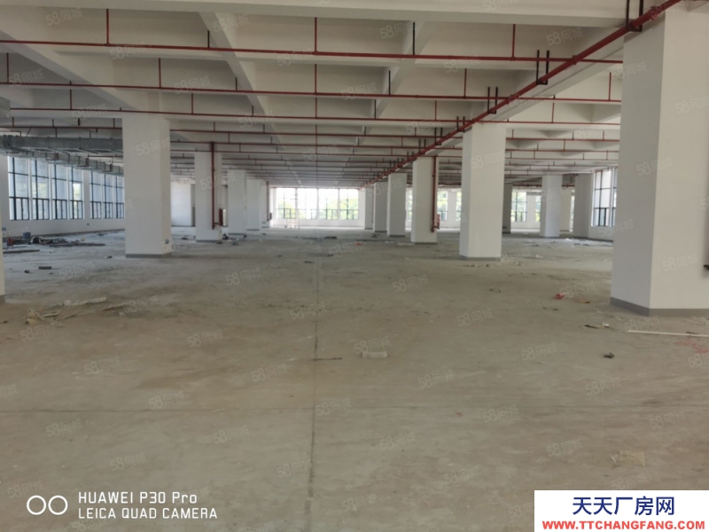 (出租) 東莞雁田廠房出租辦環(huán)評,1300平二樓全新廠房分租帶全新地坪漆