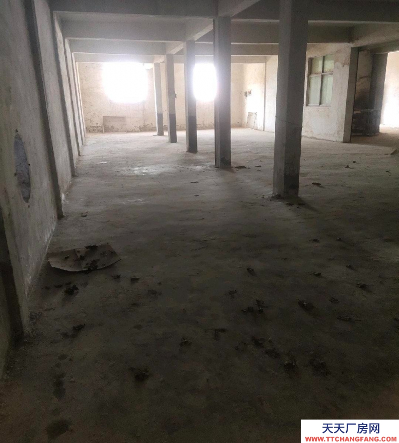 棗莊市中上下兩層上層能辦公,下層框架結(jié)構(gòu)廠房