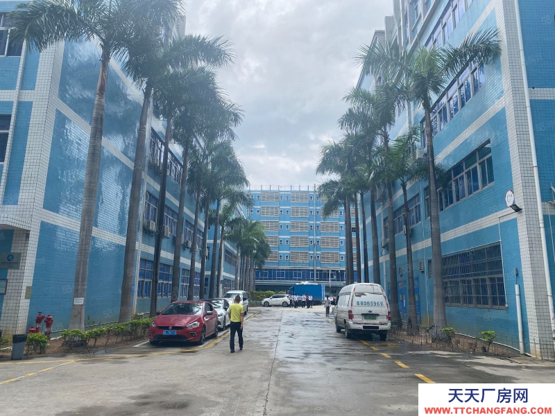 (出租) 東莞鳳崗五聯工業區2000平原房東紅本倉庫辦公廠房出租分租可辦環評