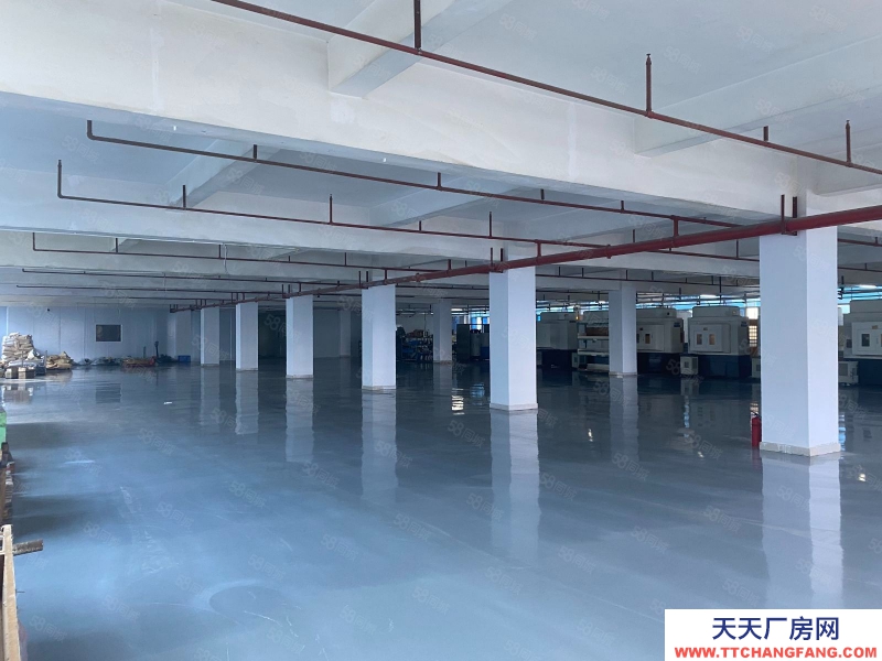 (出租) 東莞鳳崗五聯工業區2000平原房東紅本倉庫辦公廠房出租分租可辦環評