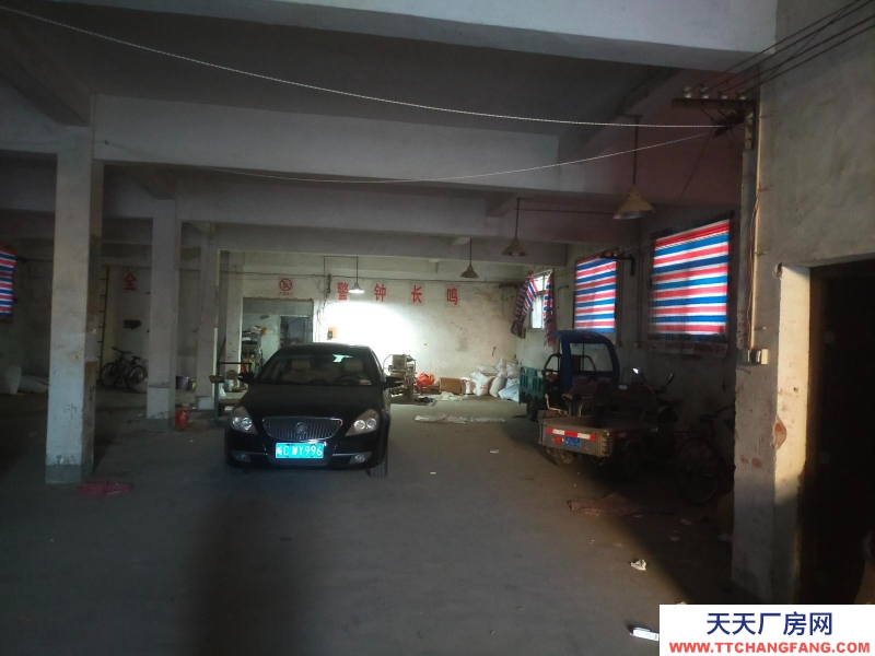 (出租)蚌埠龍子湖龍子湖二剛馬村新莊