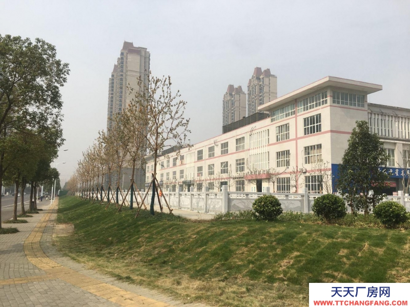 (出租)蚌埠龍子湖東海大道（恒大電影城東側）宏業南路531號